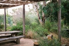 a wooden bench sitting under a pergoline covered area with lots of trees and bushes