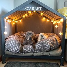 a dog laying on top of a bed covered in blankets and pillows with lights around it