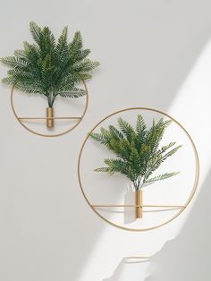 two metal planters with plants in them on a white wall next to each other