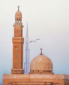 a tall building with a clock on it's side and a bird flying over it