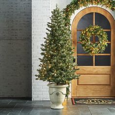 two potted christmas trees in front of a wooden door with a wreath on it