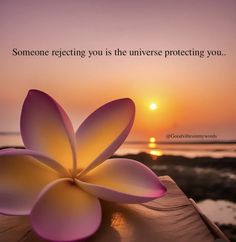 a pink flower sitting on top of a wooden table next to the ocean with a sunset in the background