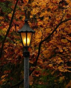 a lamp post in front of a tree with yellow leaves