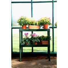 three potted plants are sitting on a green shelf in front of a large window