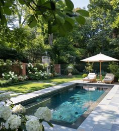 a pool surrounded by lush green trees and white flowers with an umbrella in the middle