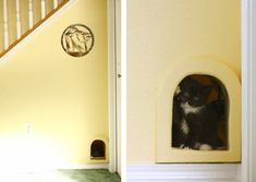 a black and white cat sitting in a dog house on the floor next to stairs