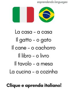 an italian language poster with the words in different languages, and a flag on it