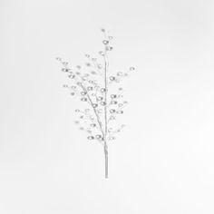 a single white flower is shown against a white background