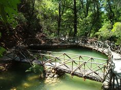 a wooden bridge over water surrounded by trees