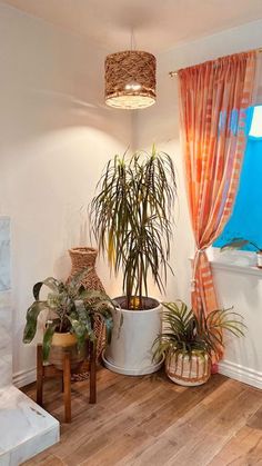 a living room filled with lots of plants next to a window