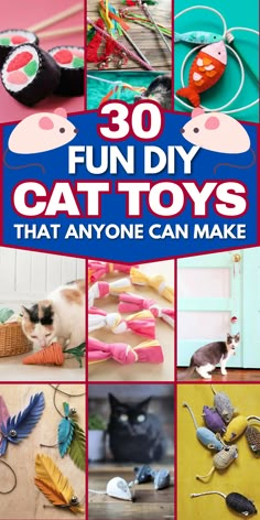 the cover of 30 fun diy cat toys that anyone can make is featured in this book