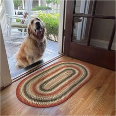 a dog is sitting on the front door mat