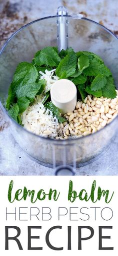 lemon balm herb pesto recipe in a food processor with text overlay that reads lemon balm herb pesto recipe