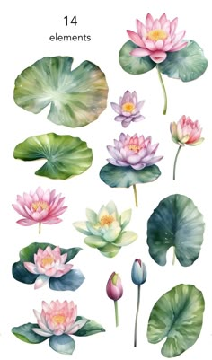 watercolor flowers and leaves are shown on the white background, with text that reads elements