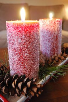 two candles are sitting on a tray with pine cones