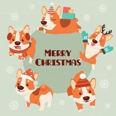 merry christmas card with corgi dogs in hats and scarfs on snowflakes