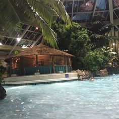 an indoor swimming pool surrounded by greenery and palm trees in a hotel or resort