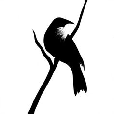 a black and white silhouette of a bird sitting on a branch with its wings spread