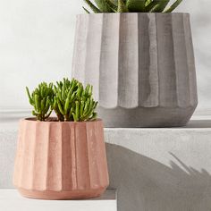 two potted plants sitting next to each other on top of a cement block wall