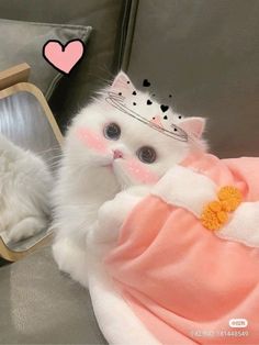 a white cat wearing a tiara sitting on top of a couch next to a mirror