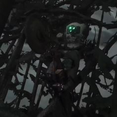 a skull with green eyes sitting in a tree