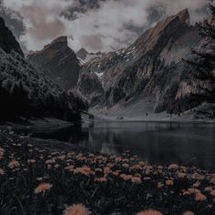 a lake surrounded by mountains with flowers in the foreground and clouds in the background