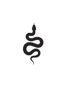 a black and white snake on a white background