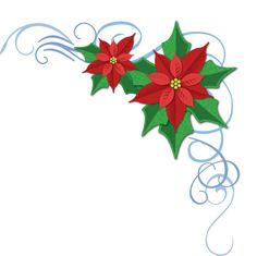 two poinsettis with green leaves and blue swirls on a white background