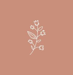 the outline of a flower on a pink background