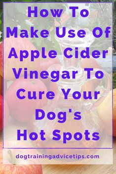 an apple cider and some apples on a table with text overlay that reads how to make use of apple cider vinegar to care your dog's hot spots