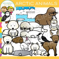 the arctic animals clip art is shown