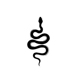 a black and white image of a snake