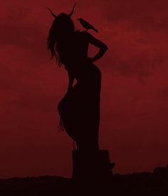 the silhouette of a woman standing in front of a red sky with a bird on her shoulder