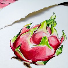 a drawing of a dragon fruit on paper with watercolor pencils in the background