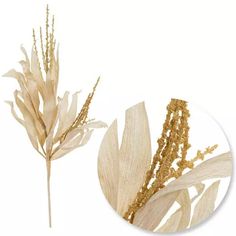 two dried flowers on a white background with gold florets in the foreground