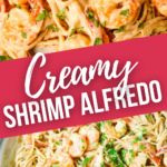 the cover of creamy shrimp alfredo is shown