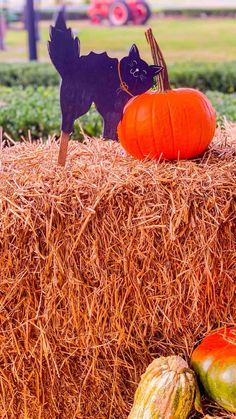 pumpkins and gourds sit on top of hay bales