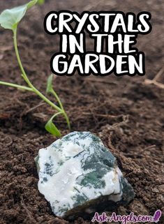 Top 15 Crystals for Gardens & How to Use Them! - Ask-Angels.com Witch Crystals, Planters Diy, Tattoo Plant, Stones Garden, Stone Properties, Crystal Garden, Nature Spirits, Become Wealthy