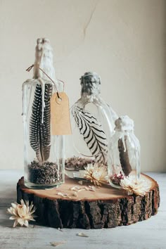 two glass bottles filled with plants on top of a tree stump