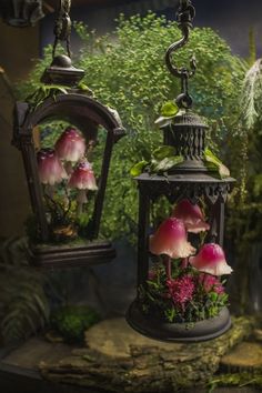 three hanging lanterns filled with flowers and plants