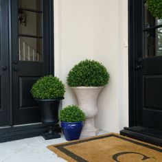 two large potted plants sitting next to each other in front of a black door