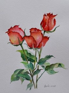 a painting of three roses on a white background