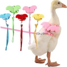 a white duck wearing a pink harness and carrying several colorful leashes on it's back