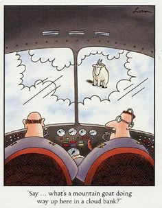 two men are sitting in the cockpit of a plane and one is looking at an elephant