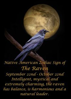 a bird sitting on top of a tree branch in front of a full moon with the words native american zodiac sign of the raven