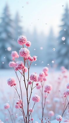 pink flowers in the snow with pine trees in the background