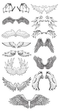 an image of birds flying in the air with wings drawn by hand on white paper