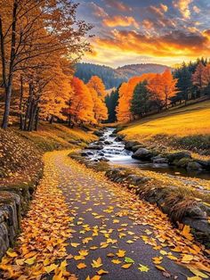 an autumn scene with leaves on the ground and water running down it's side