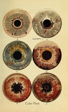 an old book with different types of eyeballs