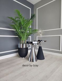 two potted plants in black and silver vases